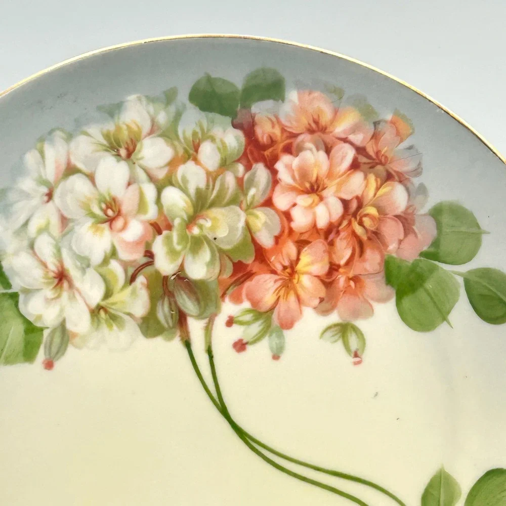 Antique Z.S. & Co Bavaria Hand Painted Floral Cabinet Plate German Porcelain